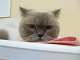 DSCF9241[1]_thumb.png